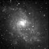 m33.jpg (27025 bytes)