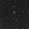 m73.jpg (26178 bytes)