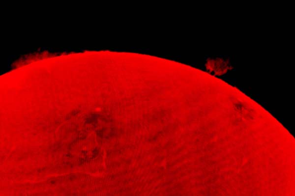 The Sun 