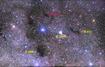 Barnard 193, 351, and 356