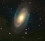 M81