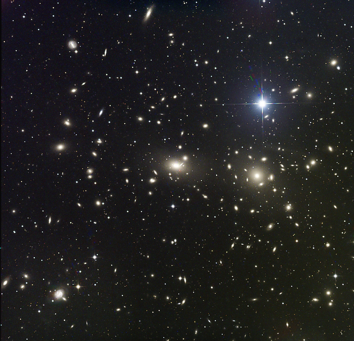 Coma Galaxy Cluster